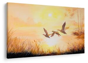 Obraz - Žeriavy pri západe slnka (90x60 cm)