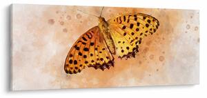 Obraz - Oranžový motýľ, aquarel (120x50 cm)