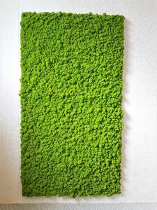 Machový panel 180cm x 100cm
