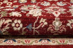 Elegantný koberec červenej farby Červená Šírka: 200 cm | Dĺžka: 305 cm