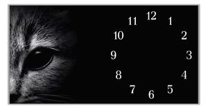 Nástenné hodiny mačka 30x60cm XVI - plexi