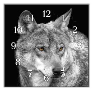 Nástenné hodiny vlk 30x30cm II - plexi