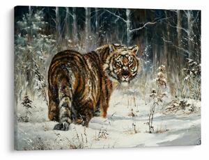 Obraz - Tiger v zasneženom lese, olejomaľba (70x50 cm)