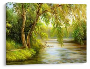 Obraz - Vŕba pri jazere, olejomaľba (70x50 cm)