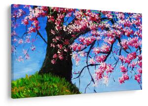 Obraz maľované rozkvitnuté čerešne (90x60 cm)