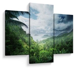 Obraz - Seychelská jungle (90x60 cm)
