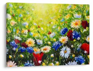 Obraz divokých kvetov (70x50 cm)