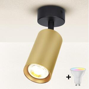 Brilagi - LED stmievateľné bodové svietidlo SELE GOLDEN 1xGU10/4,8W/230V čierna/zlatá