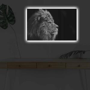 Wallity Obraz s LED osvetlením ČIERNOBIELY LEV 58 45 x 70 cm