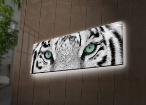 Hanah Home Obraz s led osvetlením White Tiger 90x30 cm