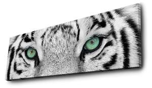 Hanah Home Obraz s led osvetlením White Tiger 90x30 cm