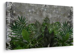 Obraz - Betónový múr s rastlinami (90x60 cm)
