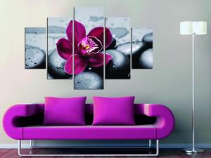 Hanah Home Viacdielny obraz Pink Flower 92 x 56 cm