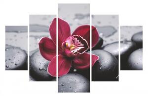 Hanah Home Viacdielny obraz Pink Flower 92 x 56 cm