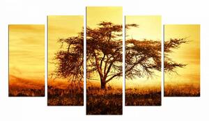 Hanah Home Viacdielny obraz Tree In The Golden Hour 110x60 cm