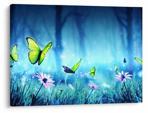 Obraz - Mystická lesná čistina (70x50 cm)