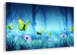 Obraz - Mystická lesná čistina (90x60 cm)