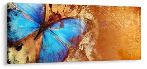 Obraz - Modrý motýľ (120x50 cm)