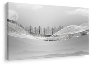Obraz - Strieborná krajina (90x60 cm)