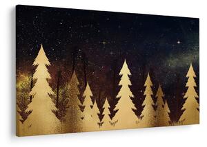 Obraz - Zlatá noc (90x60 cm)