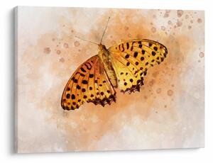 Obraz - Oranžový motýľ, aquarel (70x50 cm)