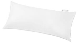 VANKÚŠ POD HLAVU, 40/80 cm Centa-Star - Prikrývky & vankúše, Online Only