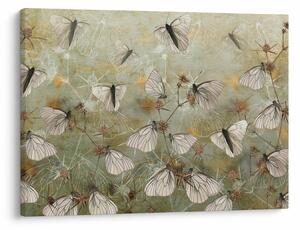 Obraz - Vintage motýle (70x50 cm)
