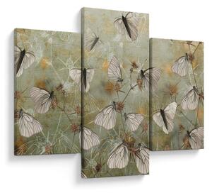 Obraz - Vintage motýle (90x60 cm)