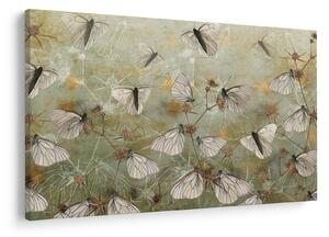Obraz - Vintage motýle (90x60 cm)