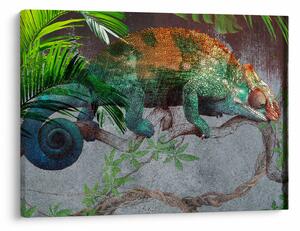 Obraz - Chameleon (70x50 cm)