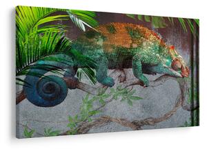 Obraz - Chameleon (90x60 cm)