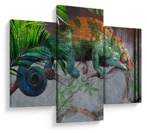 Obraz - Chameleon (90x60 cm)