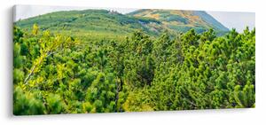 Obraz - Babi Hora, Poľsko (120x50 cm)