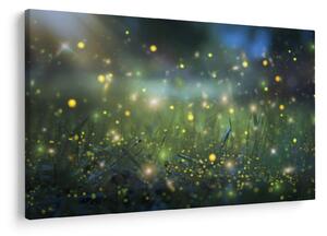 Obraz - Čarovná noc (90x60 cm)