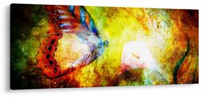 Obraz - Kozmický motýľ (120x50 cm)