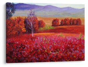 Obraz červenej krajiny (70x50 cm)
