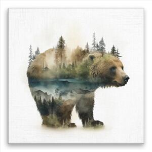 Obraz na plátne - Medveď vo sne - 40x40 cm