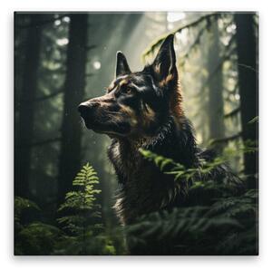 Obraz na plátne - Policajný pes - 40x40 cm