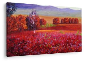 Obraz červenej krajiny (90x60 cm)
