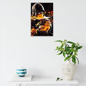 Obraz na plátne - Mortal kombat - 40x60 cm