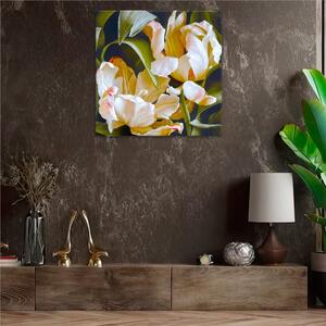 Obraz na plátne - Dva okrasné tulipány v rozkvete - 40x40 cm