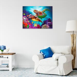 Obraz na plátne - Vodné korytnačky - 40x30 cm