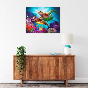 Obraz na plátne - Vodné korytnačky - 40x30 cm