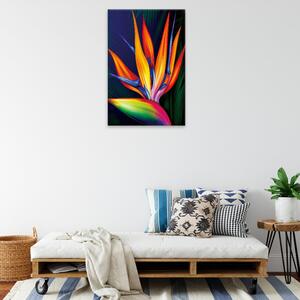 Obraz na plátne - Ohnivá rastlina - 40x60 cm