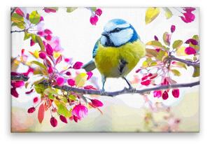 Obraz na plátne - Jarný vtáčik - 60x40 cm
