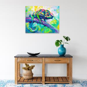 Obraz na plátne - Chameleón - 50x40 cm