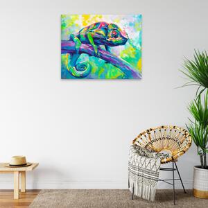 Obraz na plátne - Chameleón - 50x40 cm