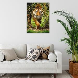 Obraz na plátne - Číhajúci tiger - 30x40 cm