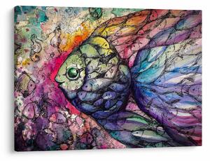 Obraz - Farebná rybička (70x50 cm)