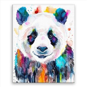 Obraz na plátne - Panda vo farbách - 40x50 cm